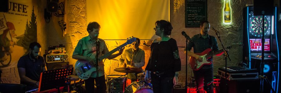 Concert à l’Irish-Troll de Rochefort